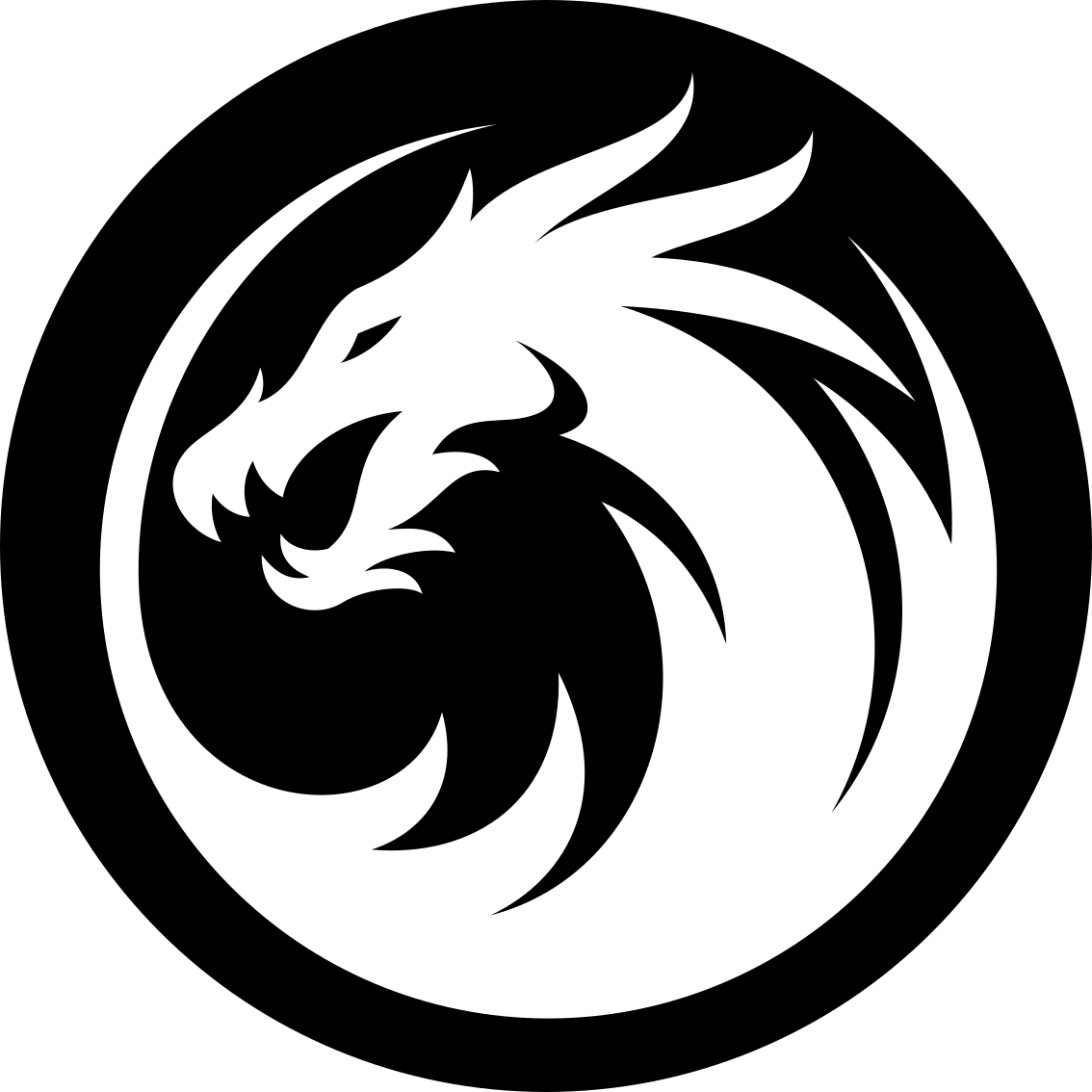 XFighter droga smoka