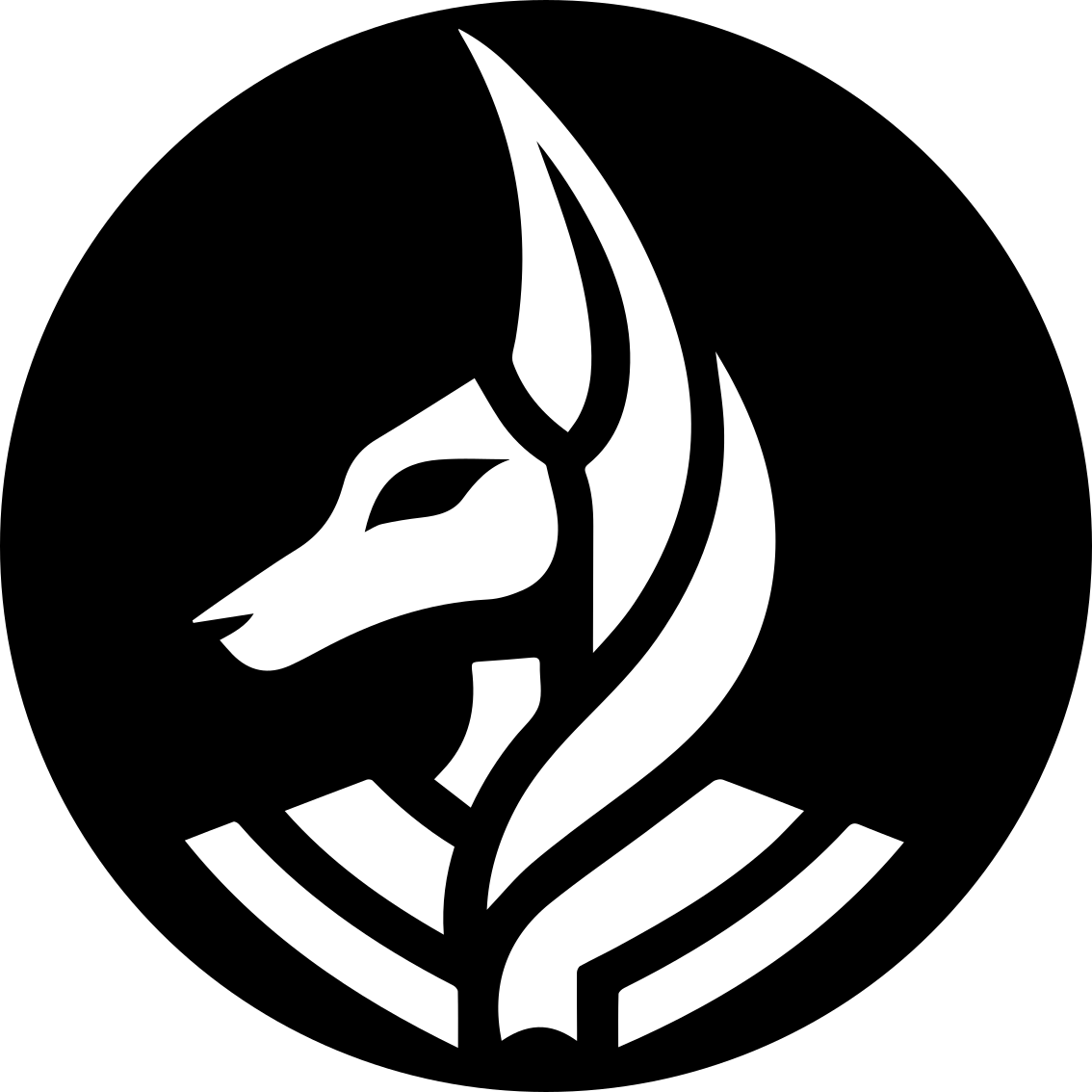 XFighter droga szakala