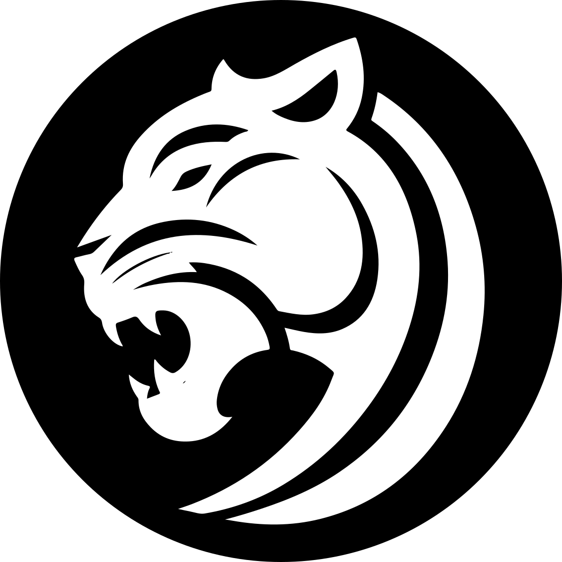 XFighter droga tygrysa