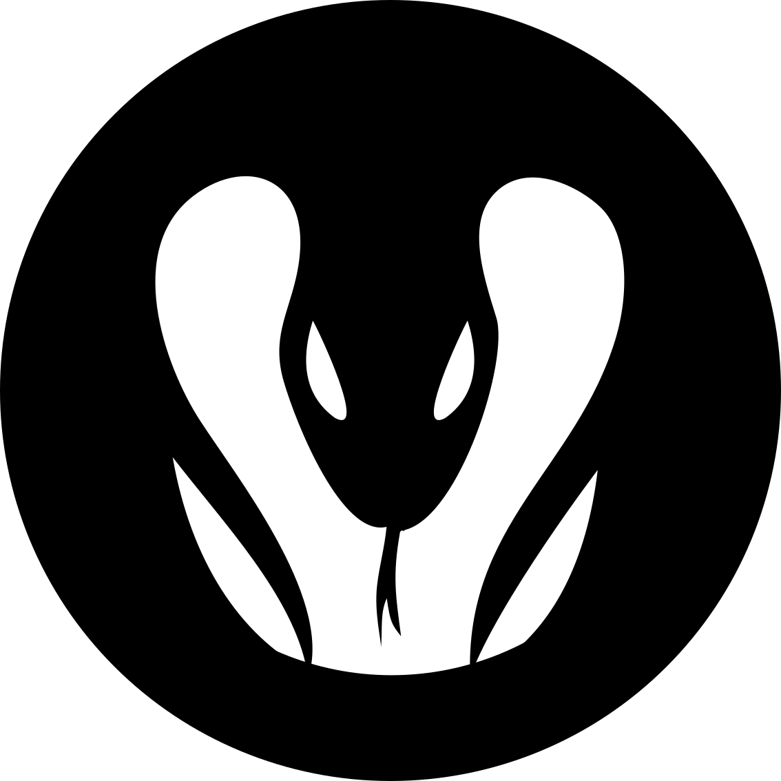 XFighter droga węża